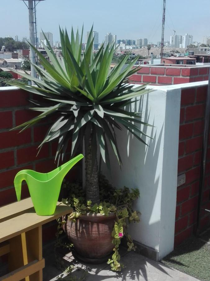 Peregrinus Guest house 2*