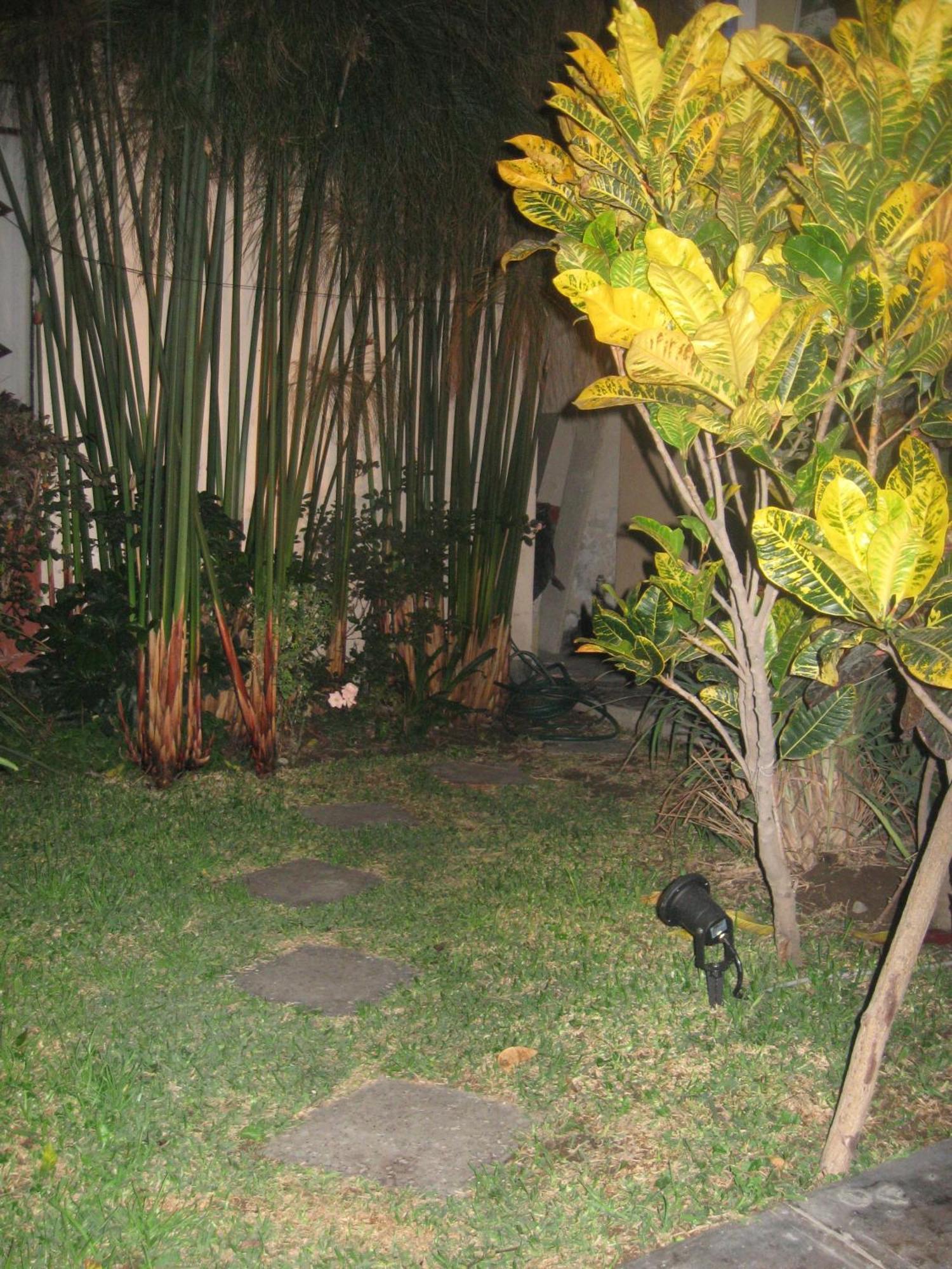 Peregrinus Lima